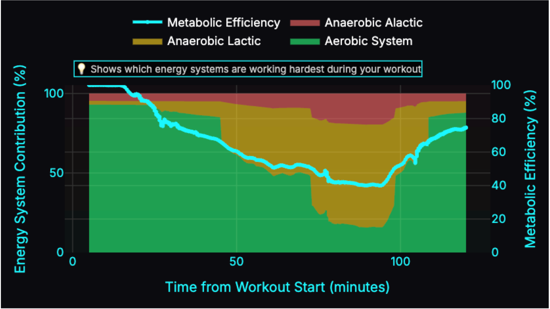 Precision Training Zones